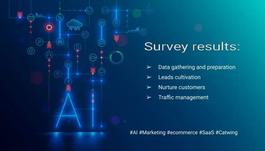 AI survey in ecommerce and SaaS results